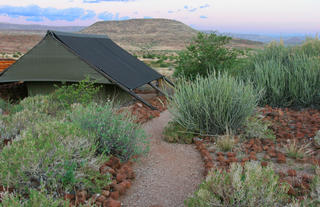 Tents